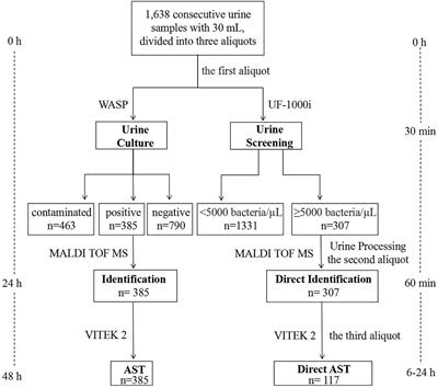 Rapid Identification and Antimicrobial Susceptibility Testing for Urinary Tract Pathogens by Direct Analysis of Urine Samples Using a MALDI-TOF MS-Based Combined Protocol